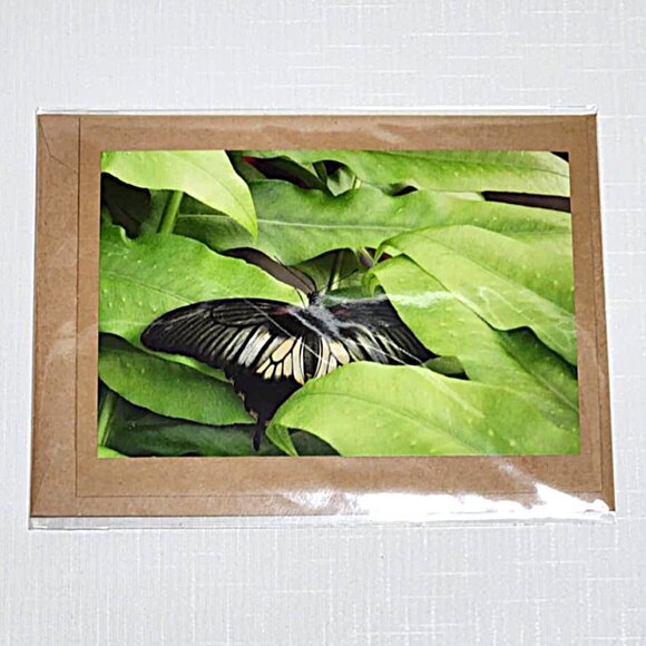 Butterfly blank photo greeting cards - Picture 4 of 8